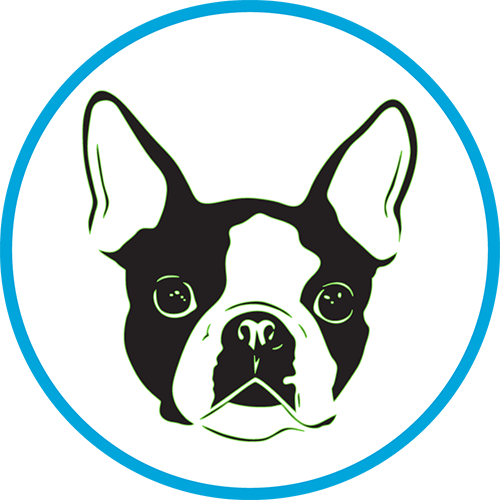 Pet odor and stain removal service in Palm Coast home