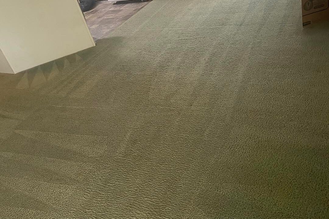 Cleaned living room carpet after professional service