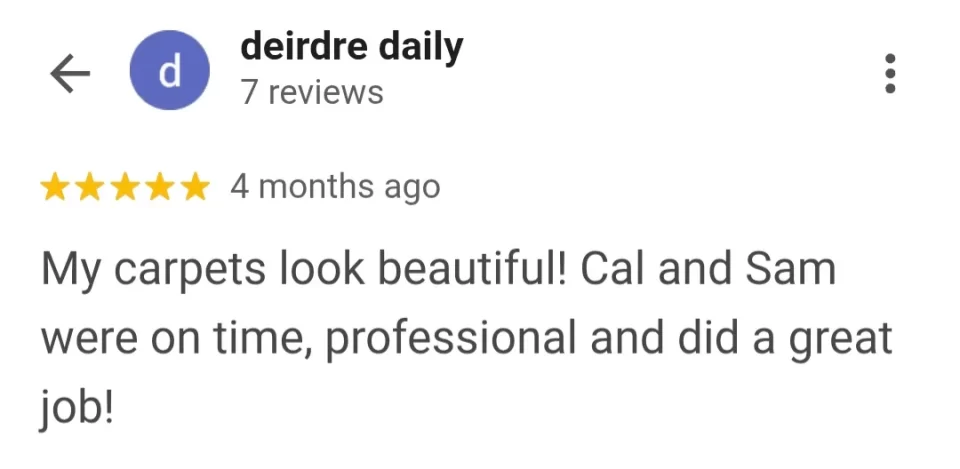 rug stain removal testimonial in palm coast