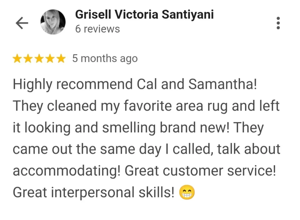 carpet cleaning testimonial in palm coast