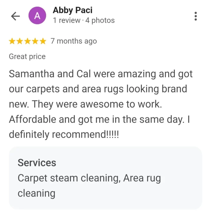 area rug cleaning review in palm coast