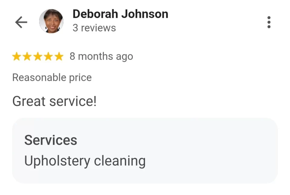 upholstery cleaning testimonial in palm coast