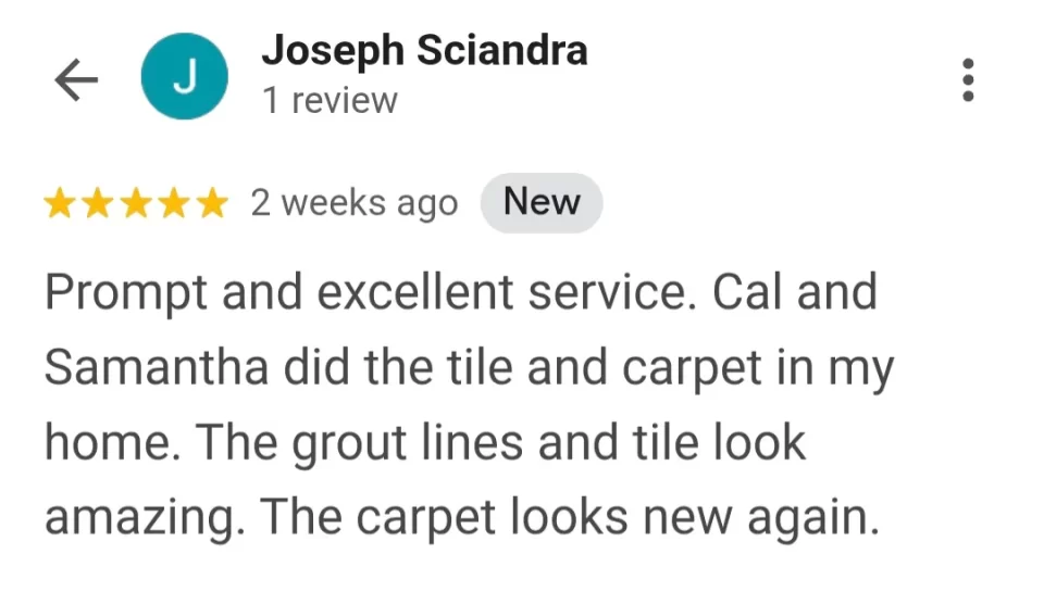 residential carpet cleaning review in palm coast
