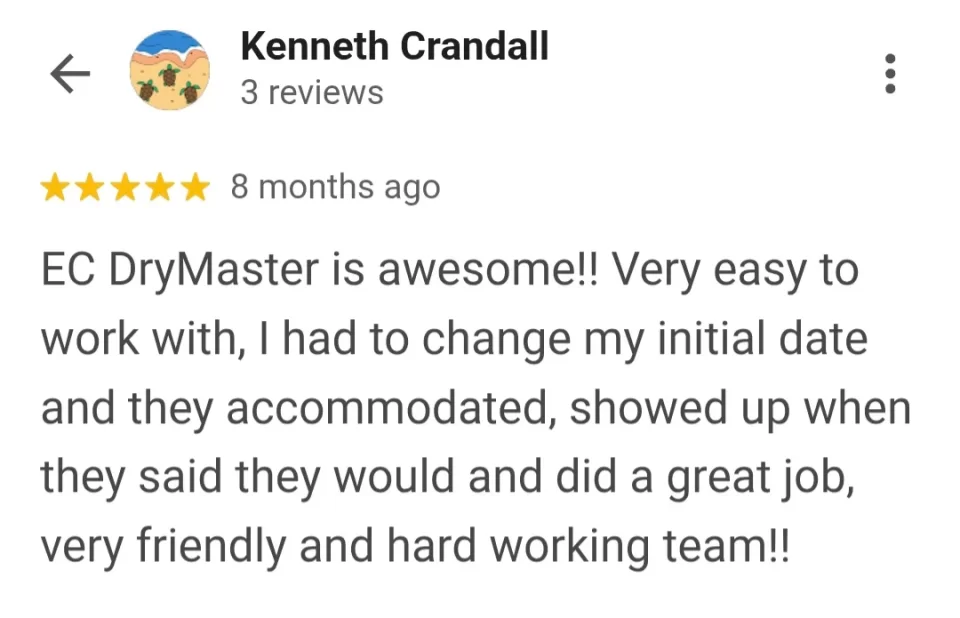 rug cleaning review in palm coast