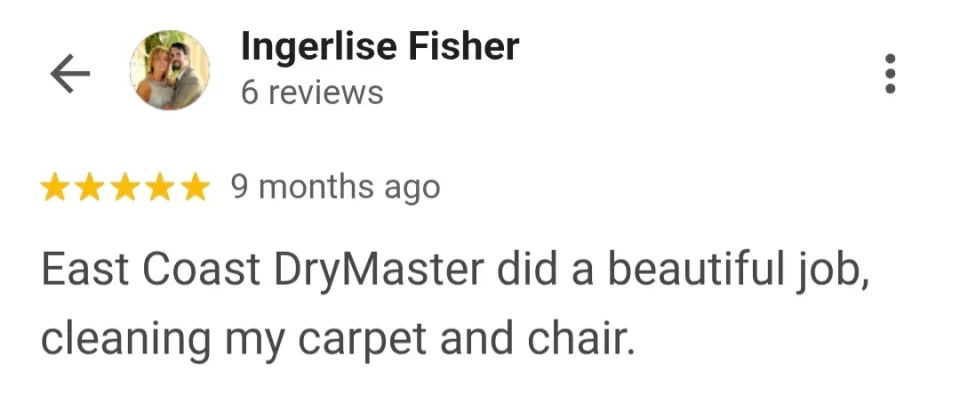 steam cleaning carpet review in palm coast