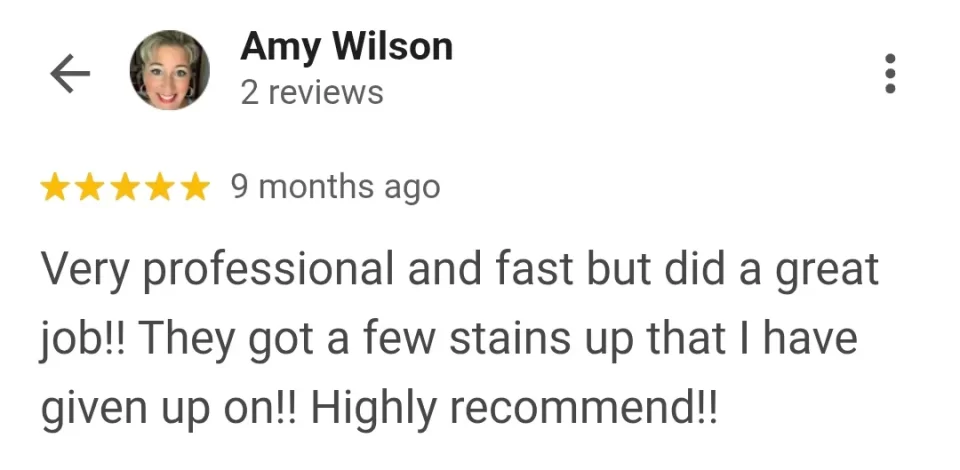 couch cleaning review in palm coast