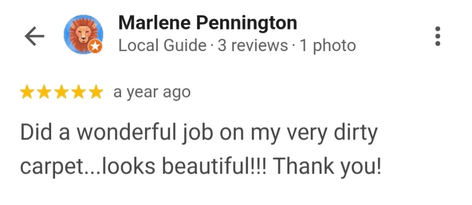 quick dry carpet cleaning testimonial in palm coast