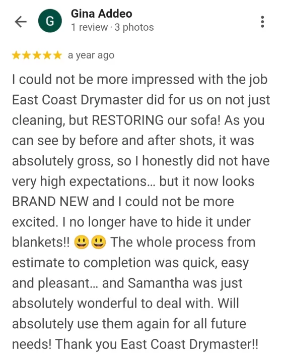 upholstery cleaning testimonial in palm coast