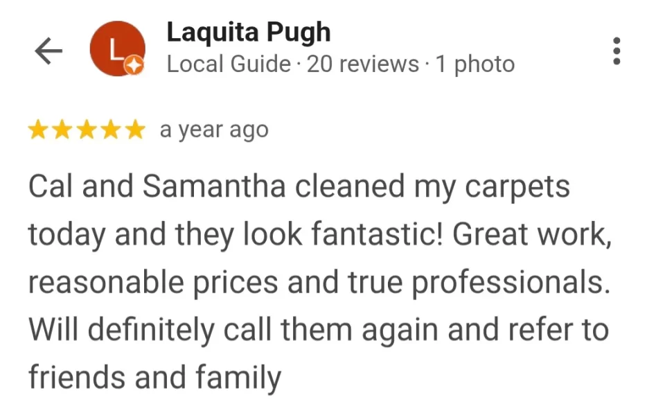 carpet stain removal review in palm coast