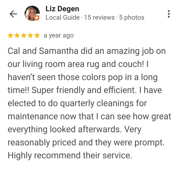 upholstery stain cleaning testimonial in palm coast