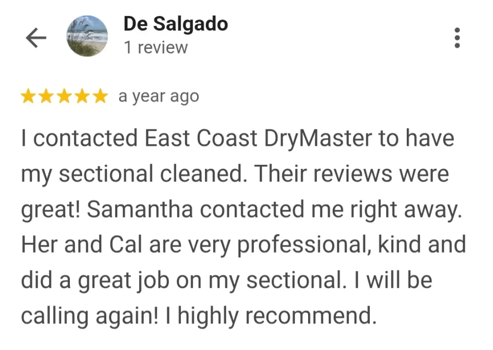 furniture cleaning testimonial in palm coast