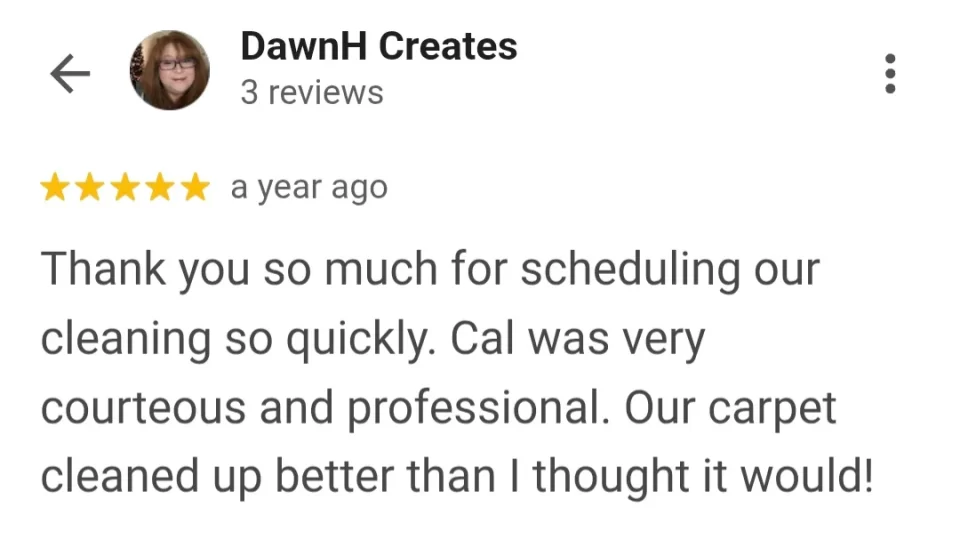 deep carpet cleaning testimonial in palm coast