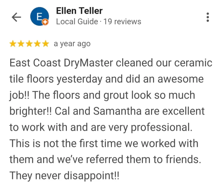rug stain removal review in palm coast