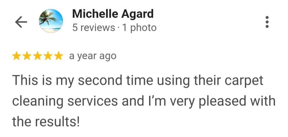 eco friendly cleaning testimonial in palm coast