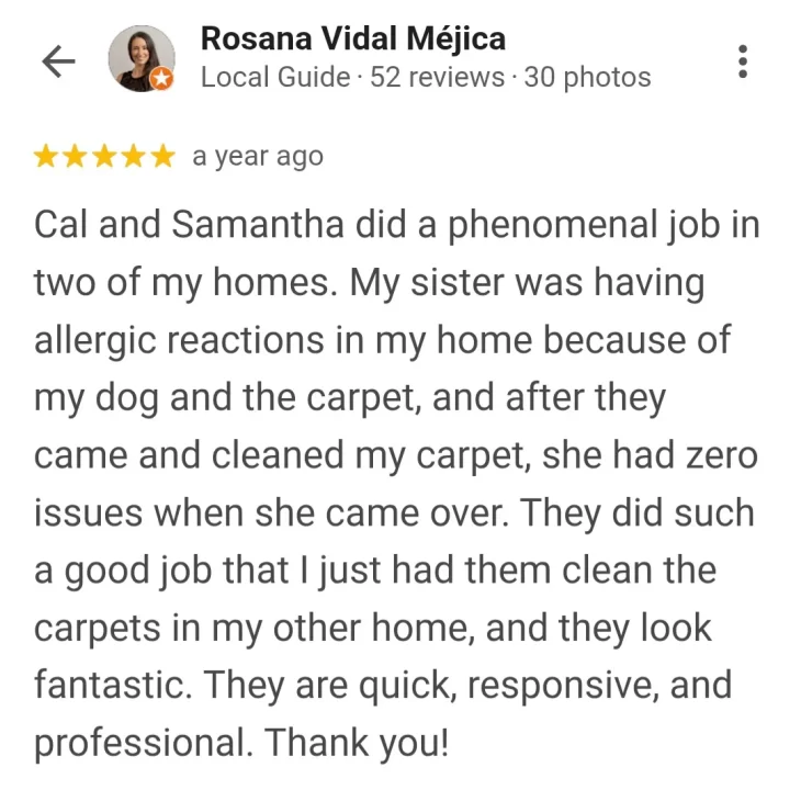 sofa cleaning review in palm coast
