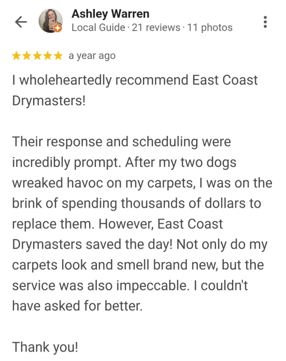 tile cleaning review in palm coast