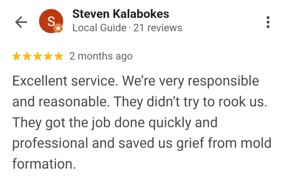 sofa cleaning review in palm coast