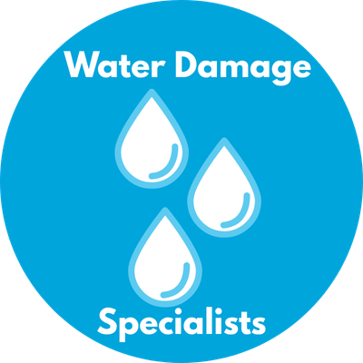 Best water damage company