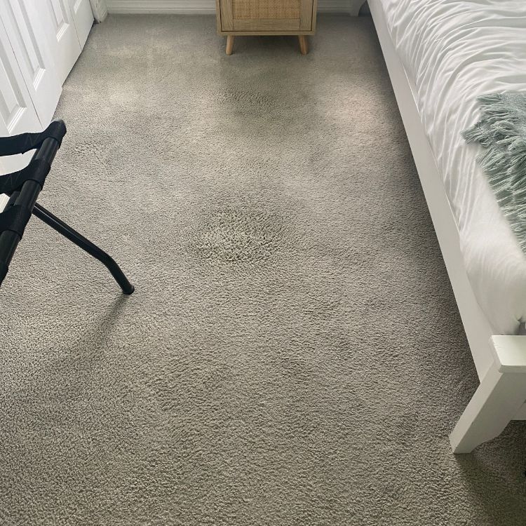 Carpet-cleaning-Flagler-Beach--1121
