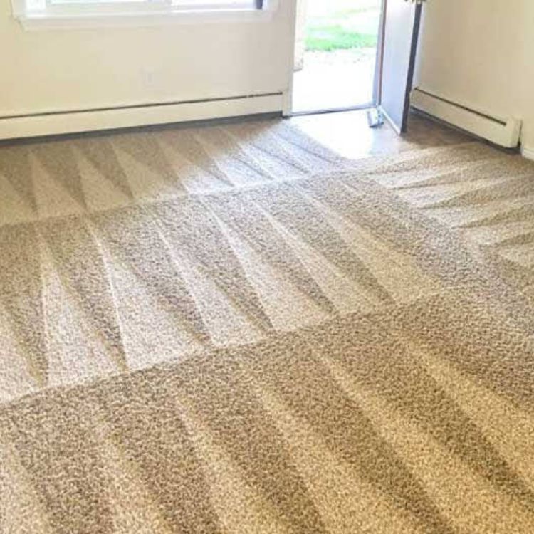 Carpet-cleaning-Near-Me--0468