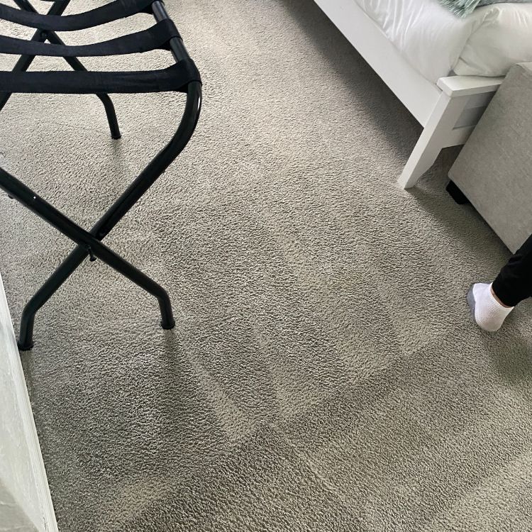 Carpet-cleaning-Palm-coast--3579