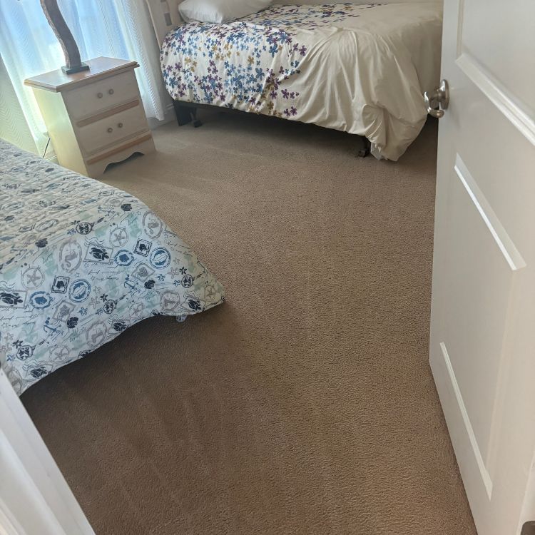 Carpet-cleaning-in-Palm-coast-1771