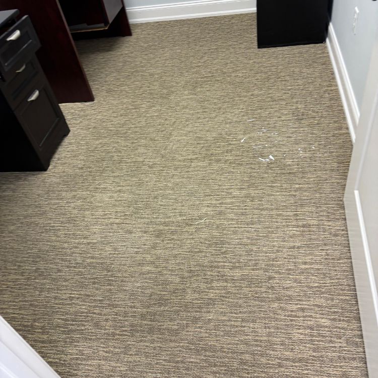 Upholstery-cleaning-in-Palm-coast-4557