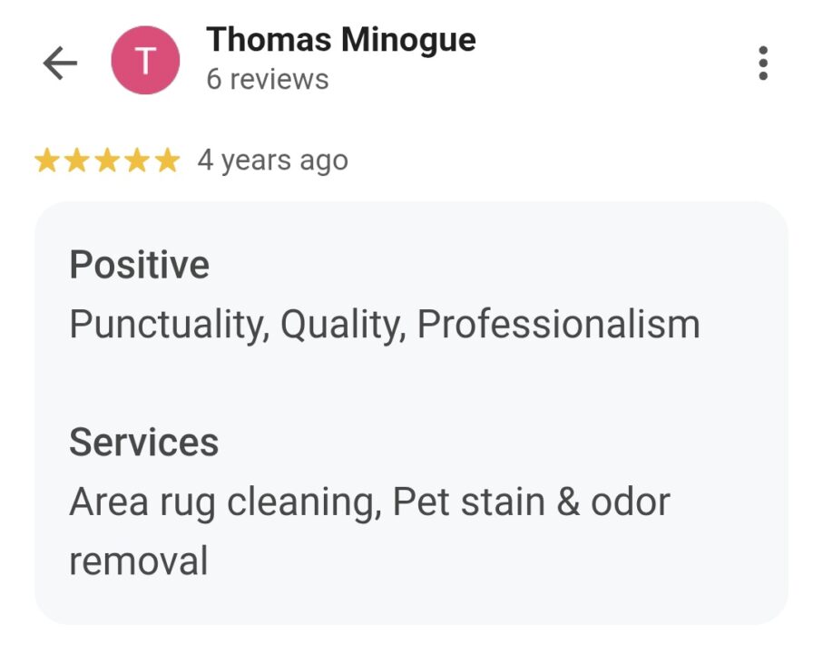 furniture cleaning testimonial in palm coast