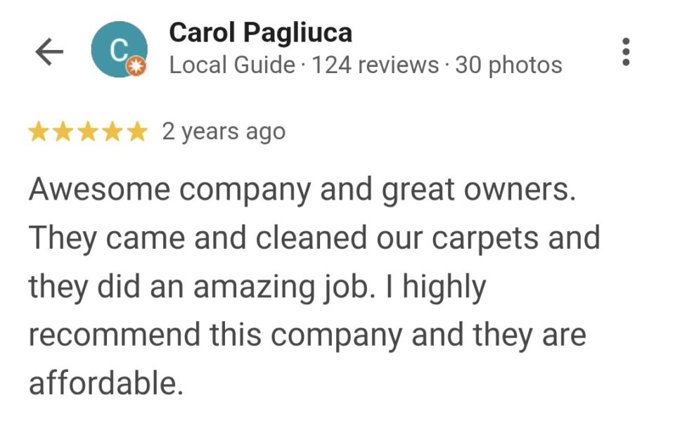 area rug cleaning review in palm coast
